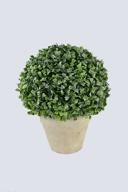 Boxwood Ball Artificial Plant with Paper Pot for Home Decoration (51114)