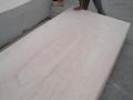 ukuran 1220 * 2440mm kayu lapis komersial