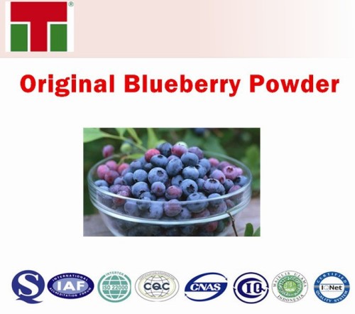 Original Blueberry Powder /Fruit Powder