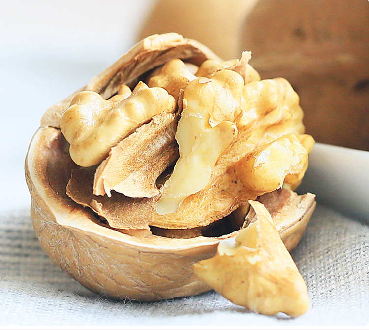 China Food Use and Carton Packaging Walnut Inshell Price