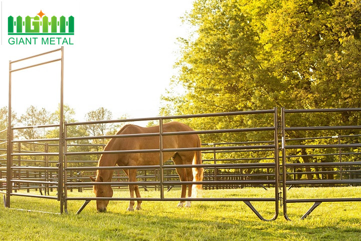 High Quality Hot Sale Galvanized Cattle Horse Fence