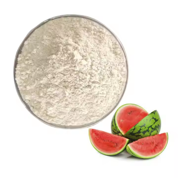 Watermelon Seed Extract Powder 60% Watermelon Seed Protein