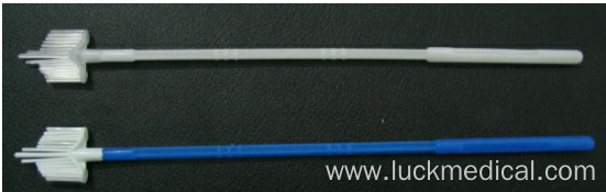 Disposable Cervical Brush Cyto Brush