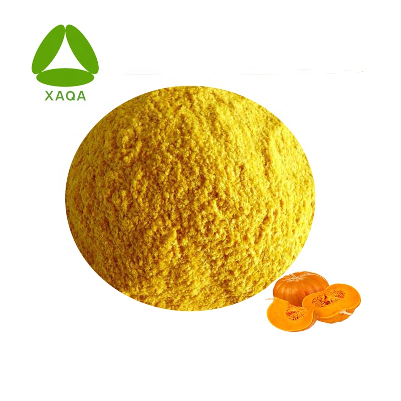 Kürbispulver Pumpkin Powder