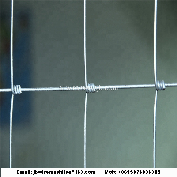 Galvanized Cattle Fence And Kraal Network