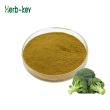 organic Broccoli Sprouts extract vegetable Powder