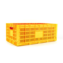 Plastic Chicken Crate Egg Trays for Packing and Transportation