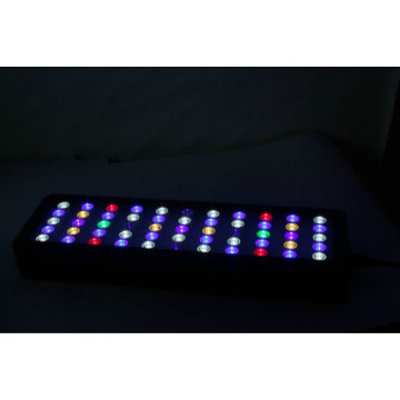 LED Coral Reef Full Spectrum, das Fischlicht beleuchtet