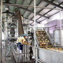 Hot Sale Fruit Processing Machine: Juice, Pulp, Puree, Jam, and Concentrate Production Line
