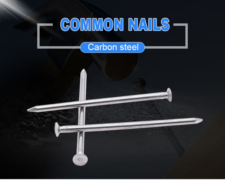 Common Galvanized Iron Qunkun Wire Nails Building