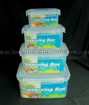 4pcs rectangle plastic preserving box