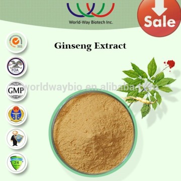 Free sample ! 100% natural herbal extraction anti-virus panax ginseng extract total ginsenosides american ginseng extract