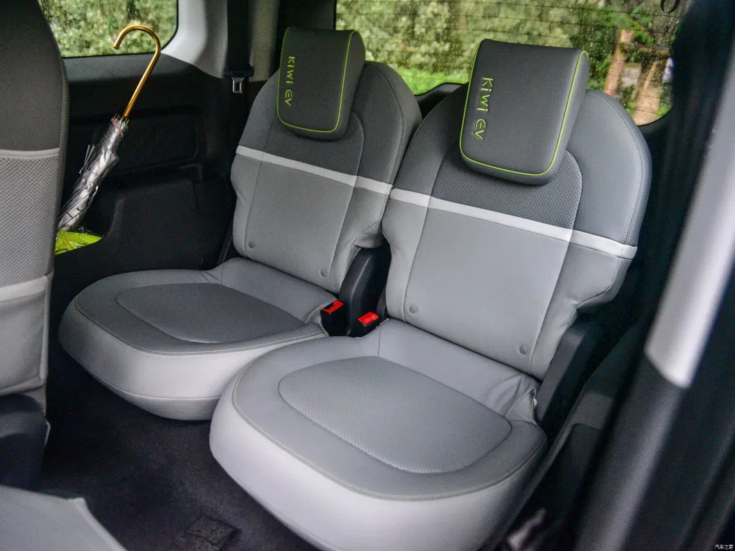 Fully Enclosed for Sale New Wuling Baojun Kiwi EV 2023 New Electric Car