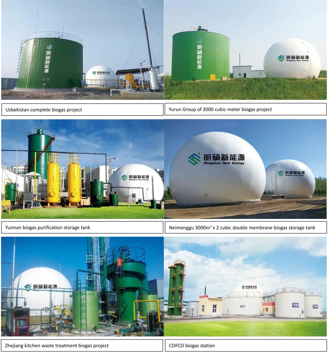 Constant Pressure Ground Rreservoir for Biogas Storage