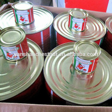 canned tomato paste with good quality fresh tomato packaging Ketchup tomato paste manufacturing