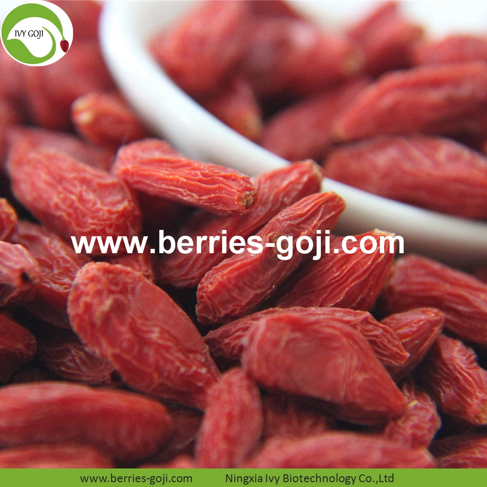 Goji-Beeren goji berry