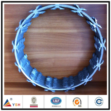 Galvanized decorative barbed razor wire