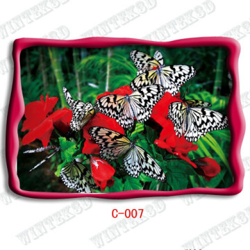 Butterfly Picture Postcard?