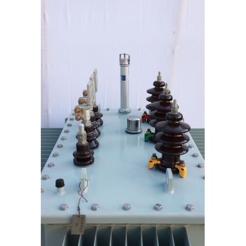 10kV Eco-Friendly Oil Transformer