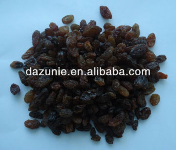 Dark Colour Raisin