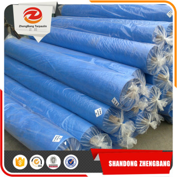Tansparent green/Blue PE tarpaulin Sheet | Plastic PE tarpaulin Roll
