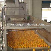 Complete fresh orange juice and concentrated juice processing line with aseptic carton