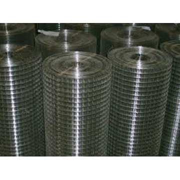 Galvanized Welded Wire Mesh Garden Fence