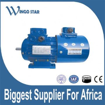 adjustable speed ac motor