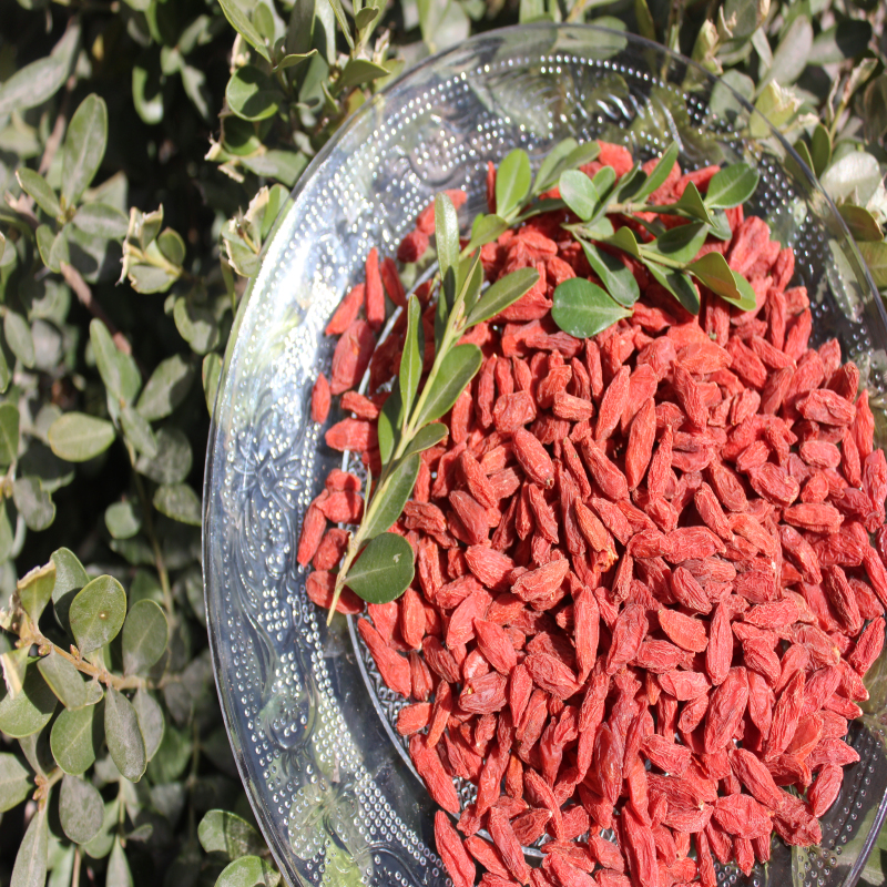 New crop organic goji for lose weight