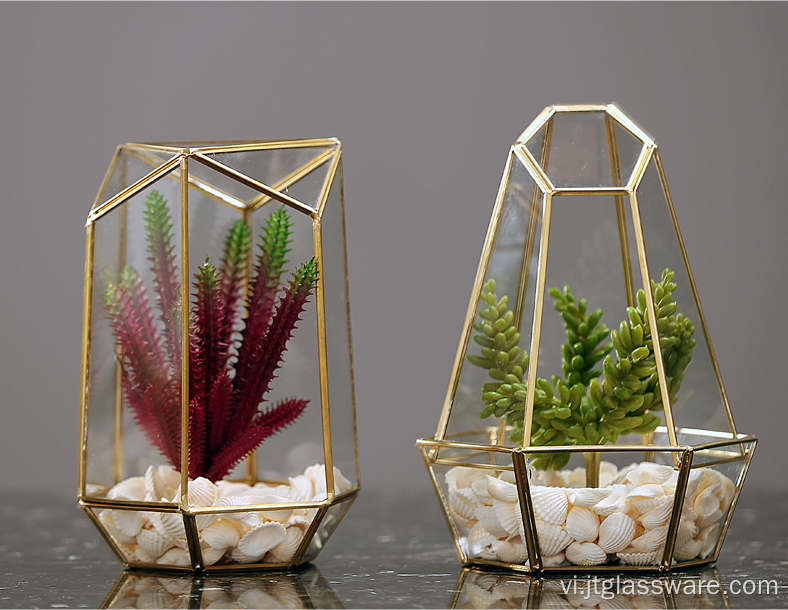 Cây trồng trong nhà bán chạy bằng kính Terrarium Geometric