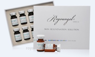 Reyoungel ha dermal fillers hyaluronic acid syringe