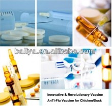 Avian Influenza Rapid Test Strips