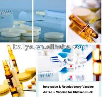 Avian Influenza Rapid Test Strips