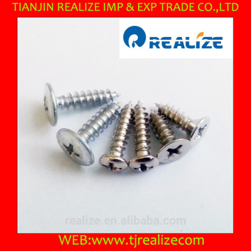 philips pozi hot sell fixing screws