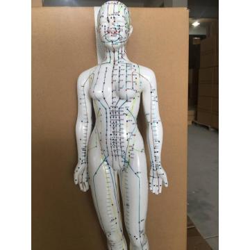 FEMALE ACUPUNCTURE MODEL