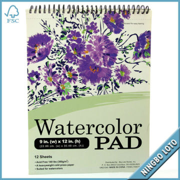 Watercolor Pad for Biglots