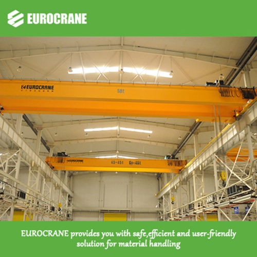 Double Girder Crane Kit With Hoist