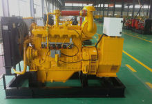 50kva High Efficiency Gas Backup Generator, Water Cooled Biogas Generator With Remote Radiator