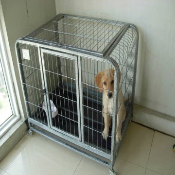 galvanized stainless steel dog cage
