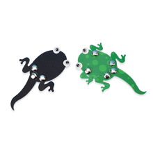 Tadpole Growth Science Kits: Primary School STEM Educational Toys