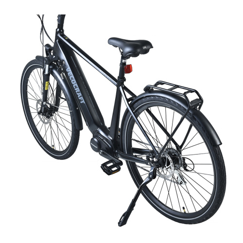 XY-Altus affordable electric bicycles for adult