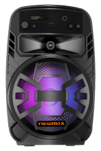 Portable Trolley DJ Speaker with Microphone