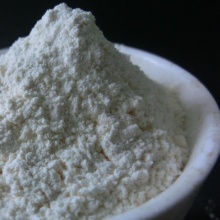 Low TPC White Fresh Garlic Powder