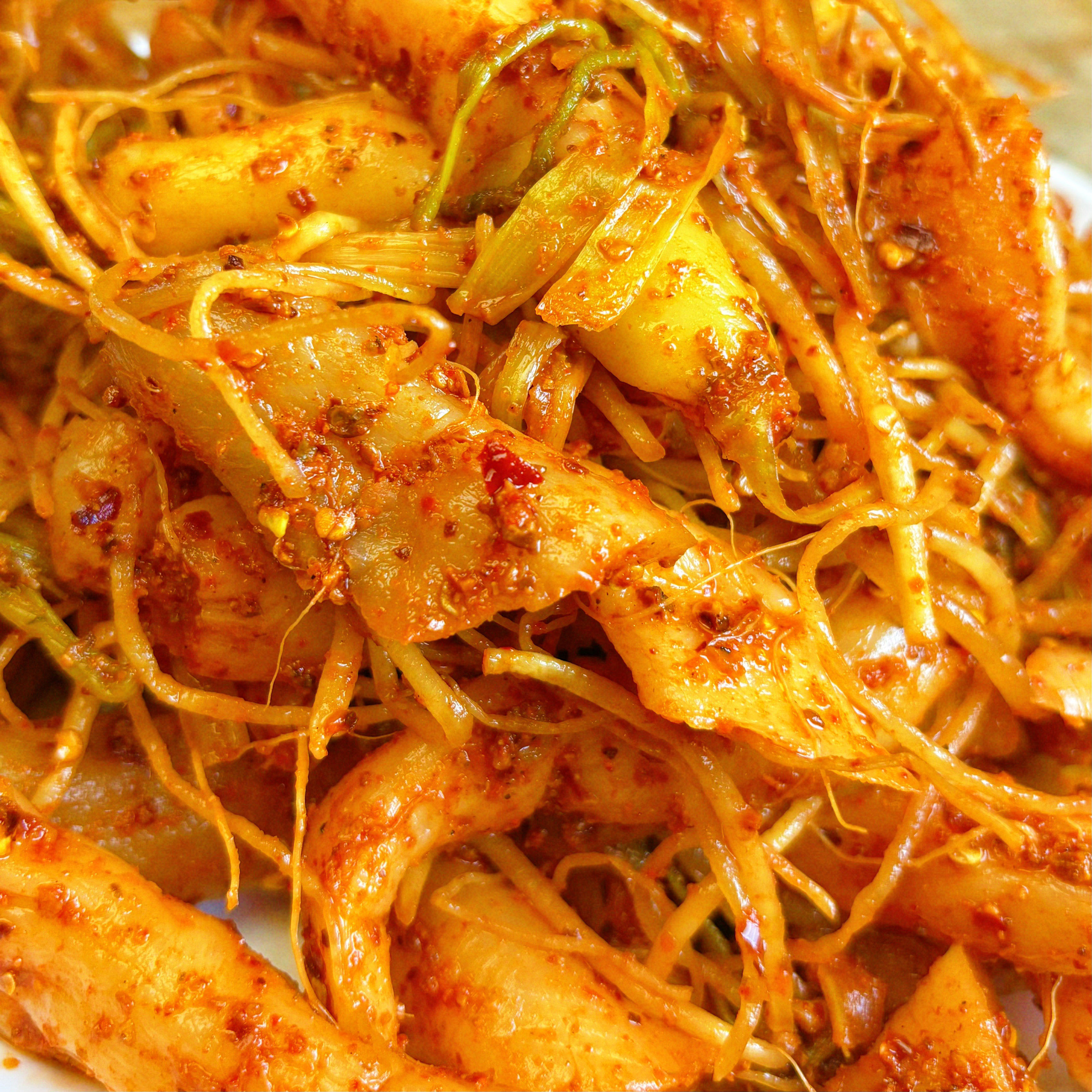 lobak radish