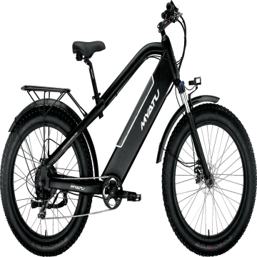 24 Inch Folding Electric Mountain Bike