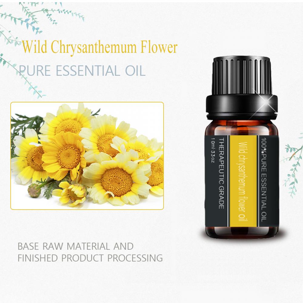 Huile essentielle de fleur de chrysanthème sauvage pur pour le massage