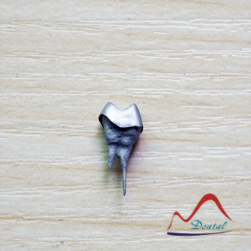 Fittest Cocr Post and Core Crown