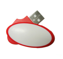 Plastic USB Flash Drive/Pen Drive/Flash Memory Stick