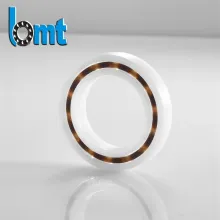 High Quality Special Ceramic Bearings