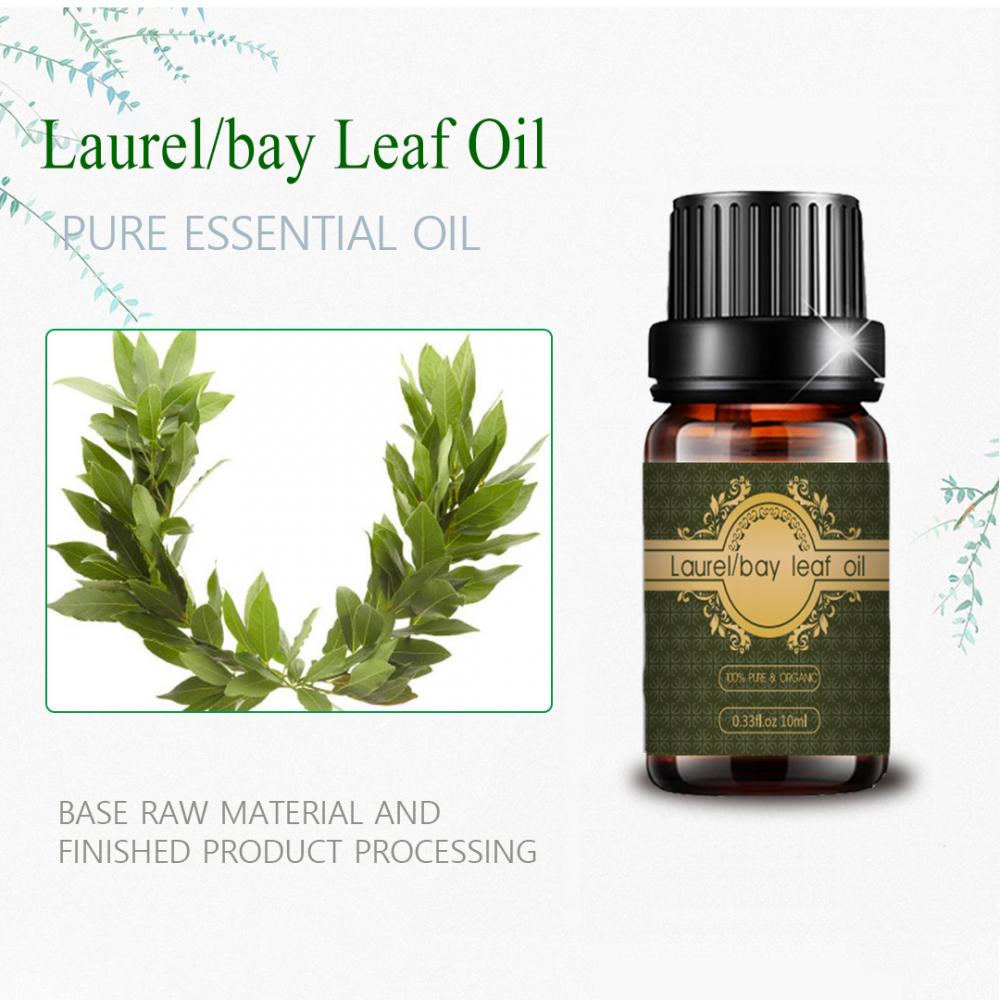 Aceite de hojas de laurel Laurel Natural Essential Aceil a granel